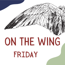 On The Wing (Friday)
