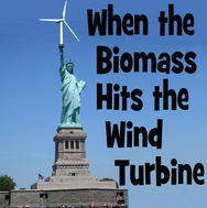 When the Biomass Hits the Wind Turbine
